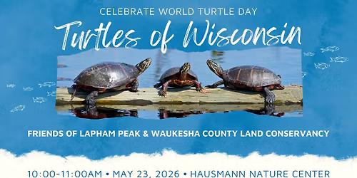 World Turtle Day - Wisconsin Turtles with Helen Holtz