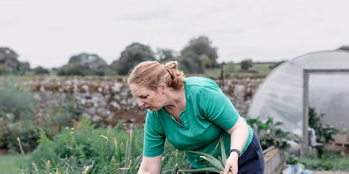 Grow Your Veg for Christmas Dinner with Colman Power