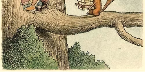 ADVETN\u00cd SETK\u00c1N\u00cd - Permakulturn\u00ed knihovna v Praze