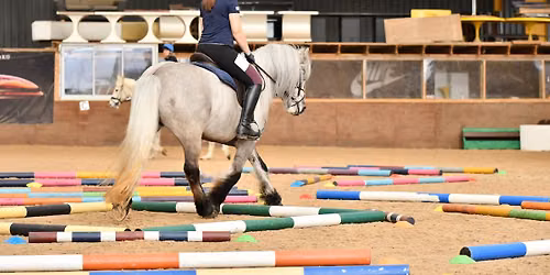 Polework clinic at Manor Farm, Kingsey 
