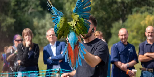 The Tropical Bird Show 2026