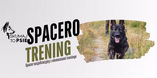 Spacer socjalizacyjny