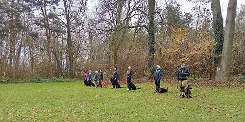 ZKOU\u0160KY IGP + NZ\u0158