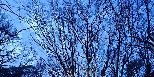 Women in the Woods - Celebrate the Full Moon by the fire