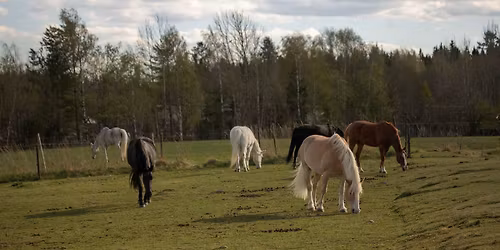 Arbetsdag v\u00e5ren 2026