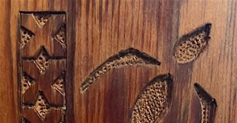 Carving Workshop: Relief wood carving with Tui Hobson