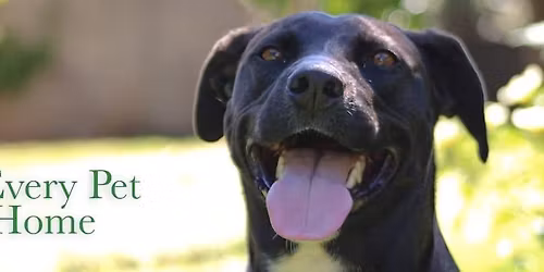 Battle Mountain Humane Society Annual Fundraiser 