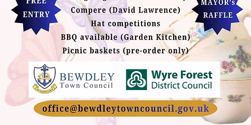 Mayor of Bewdley Madhatter's Tea Party