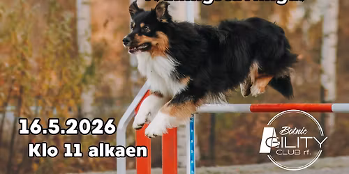 Kisanomaiset treenit 16.5.2026