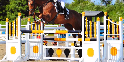 Polework/Show Jumping Clinic