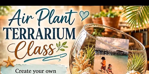 Air Plant Beach Terarium Class