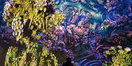 ARTECHOUSE Presents: Fractal Worlds