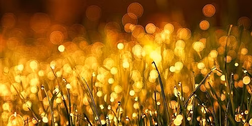 Summer Solstice Retreat Day for Women