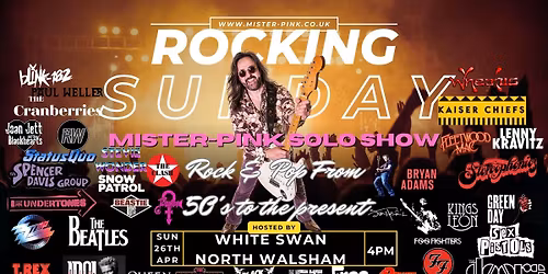 Mister Pink - live music