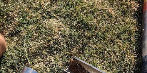 Careers and Education Tracks in Turfgrass Science