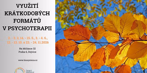 Vyu\u017eit\u00ed kr\u00e1tkodob\u00fdch form\u00e1t\u016f v psychoterapii