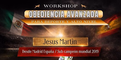 Workshop de Obediencia avanzada con Jes\u00fas Mart\u00edn 