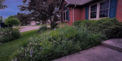 Growing A Moon Garden with Native Plants (Online)