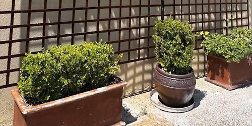 Craving Lebanese @Zaatar Lebanese Grill