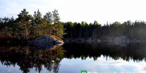 Tidlig morgentur 2026