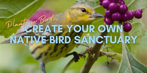 Plants for Birds: Create Your Own Bird Sanctuary Series