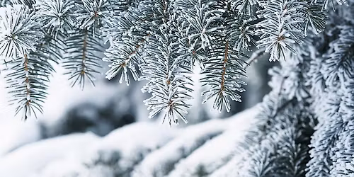 Winter Wonderland - A Winter Photoshoot Gathering