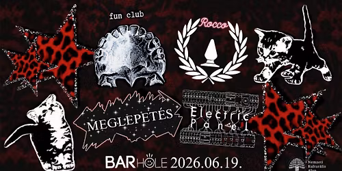 06.19. \/\/ Rocco I fun club I Electric Panel I Meglepet\u00e9s \/\/ Barhole