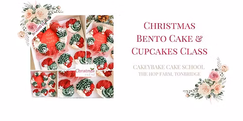 Christmas Bento Cake and Cupcakes Class