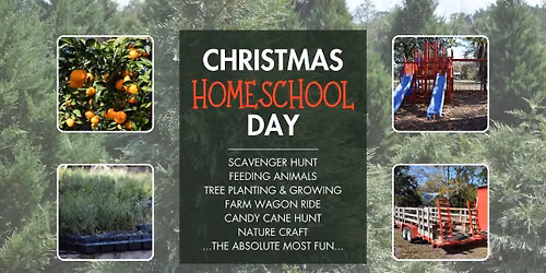 Christmas  (Winter) Homeschool Day