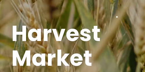 Aarons Art show @ Harvest market \u201825