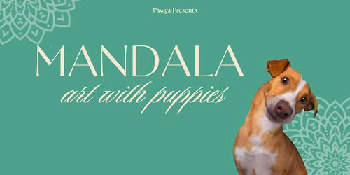 Mandala Art with Puppies at Turtle Matcha