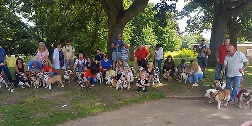 TEF KENT BULLY WALKS