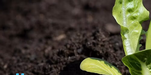 Home Compost Workshop @ Kenilworth Library