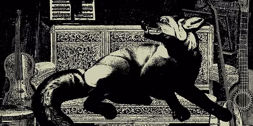 The Crop Tops, Bushed Poetry and Key Stone