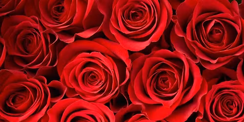 Soir\u00e9e Saint-Valentin ! \u2665\ufe0f