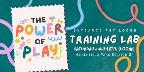 Power of Play Training Lab