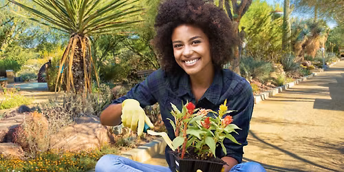 Free Class: Desert Gardening 101