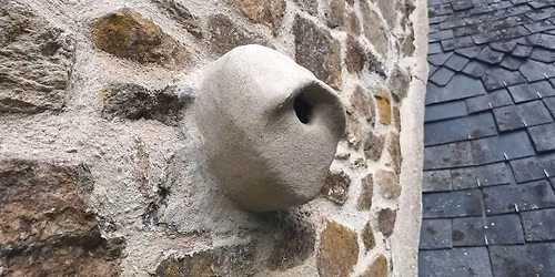 mini stage découverte 