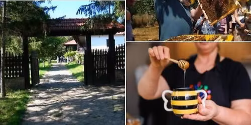 Traseul turistic Dor de Codru va asteapta cu locuri pitoresti si emotii memorabile!