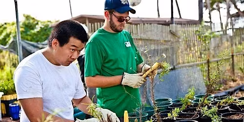 Volunteer Habitat Restoration Day at Coal Oil Point Reserve