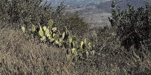 NEW: OC Active Outdoors, A New Social Group for Adventurous 30s and 40s