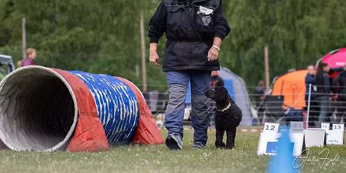 4 dobbelt Rallylydighetsstevne i Valdres