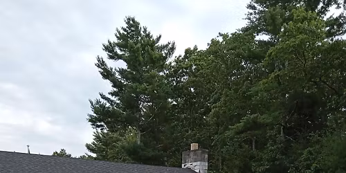 cape cod beagle club game dinner