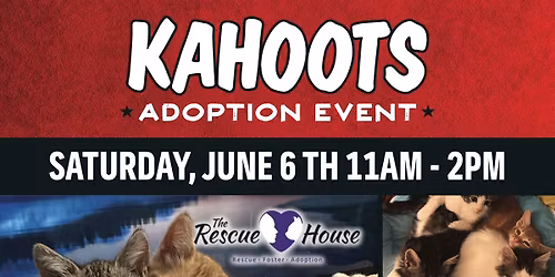 Rescue House Cat & Kitten Adoption at KAHOOTS 4S Ranch