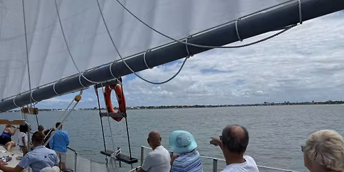 Fins & Freedom Dolphin Sail