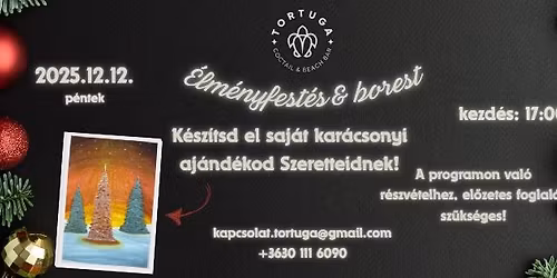 \ud83c\udf84\u2728 Kreat\u00edv kar\u00e1csonyi est a Tortug\u00e1ban! \ud83c\udfa8\ud83c\udf77\ud83d\udc22