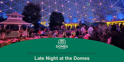 Late Night at The Domes