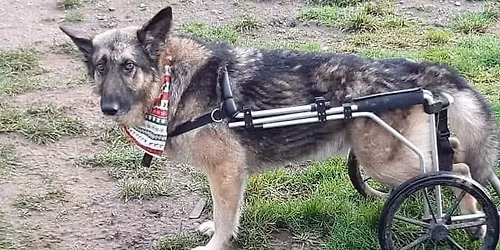 Charity Abseil Fundraiser