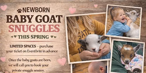 Baby Goat Snuggles