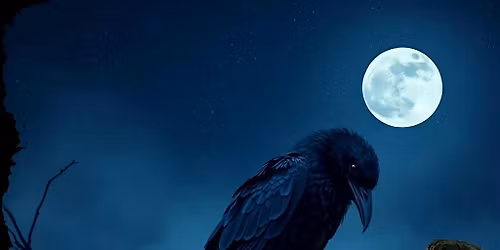 Raven Medicine Shamanic Crystal Healing Sound Bath